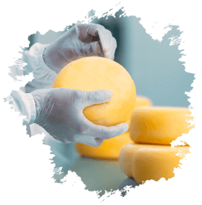 Paixão por qualidade em queijo