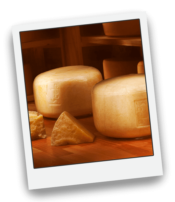 Parmesão Speciale
