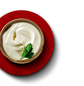 harmonização Requeijão Cremoso Linha Profissional