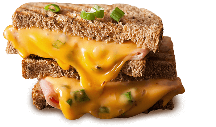 imagem1 Requeijão Cheddar Linha Profissional Scala